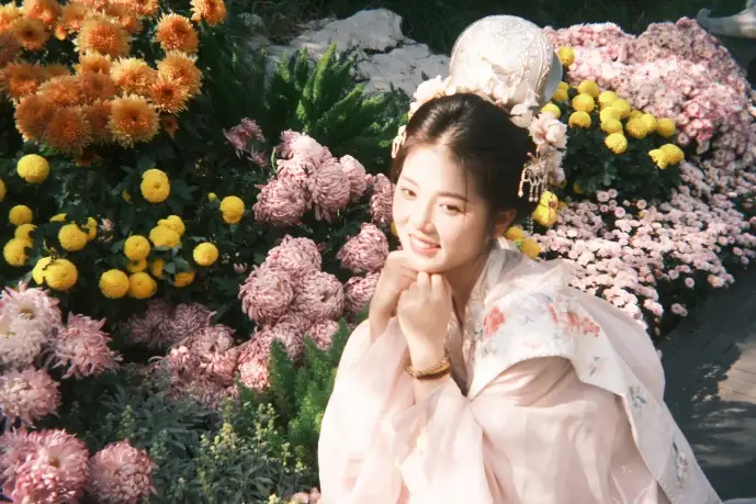 盗版网站流量对比